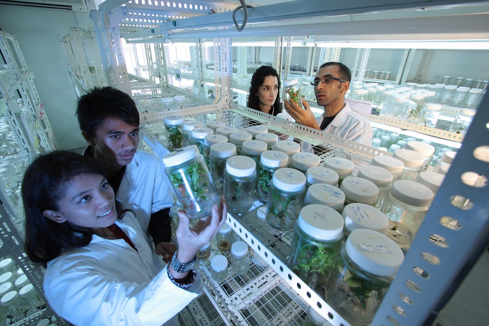 Future of Pharma Industry – Biotechnology