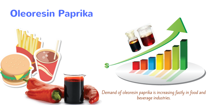 Oleoresin Paprika expert